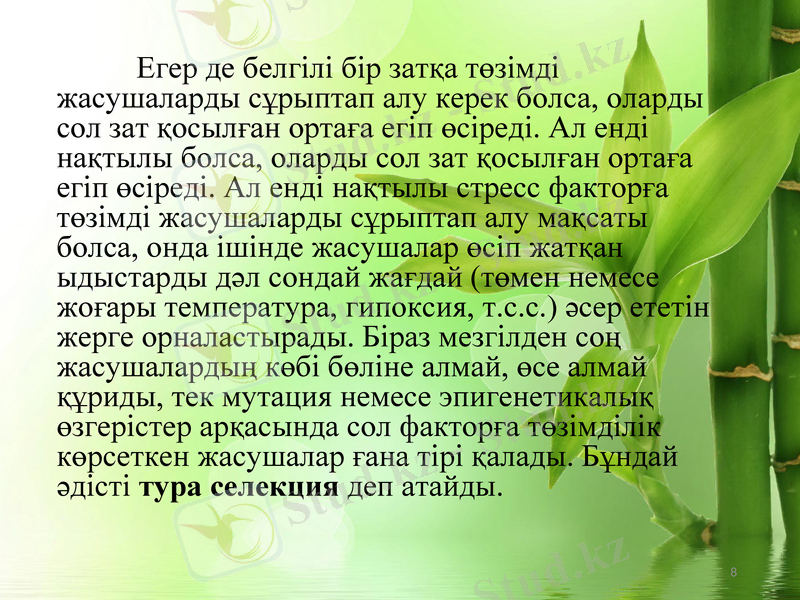 Slide 8