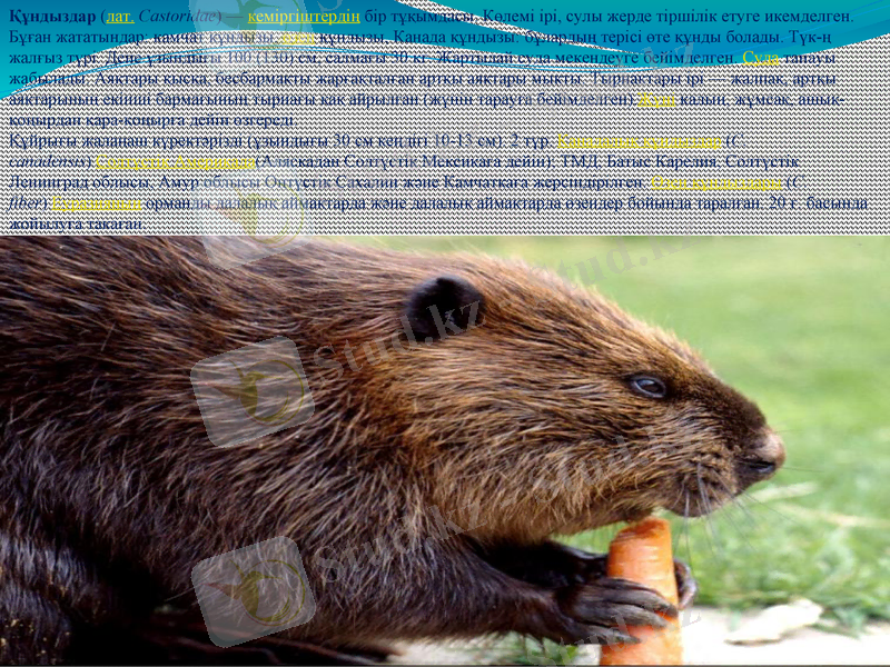 Slide 12