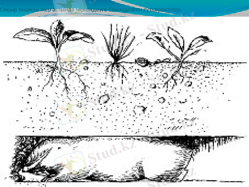 Slide 15