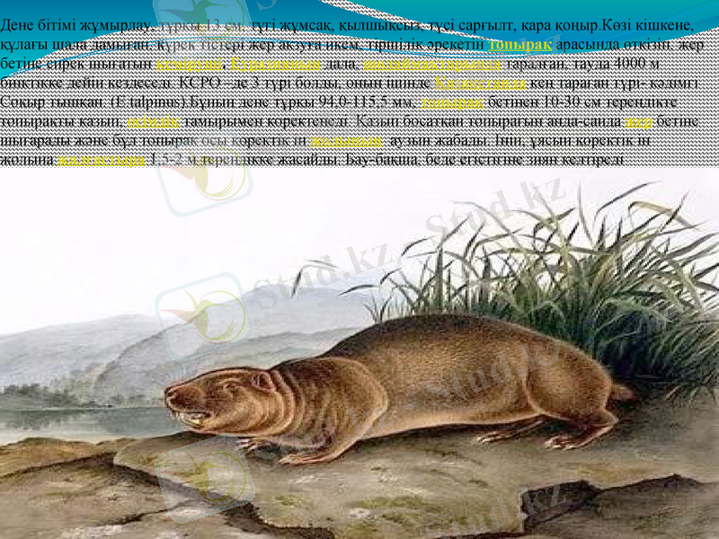 Slide 16
