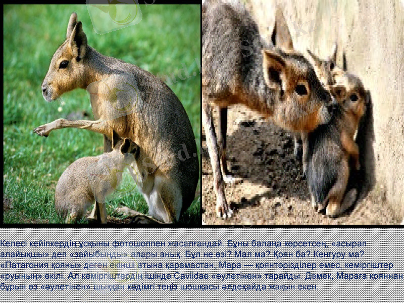 Slide 5