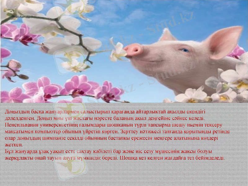 Slide 6