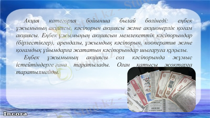 Slide 11