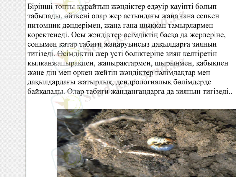 Slide 10