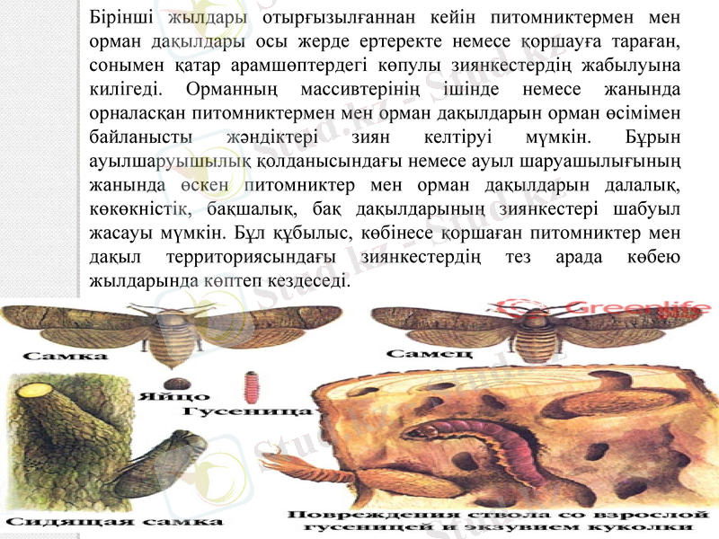 Slide 11