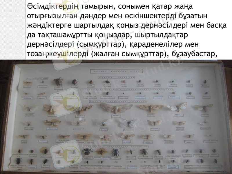 Slide 12