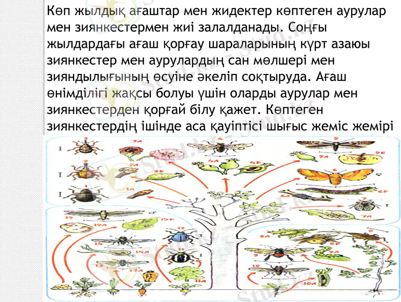 Slide 13