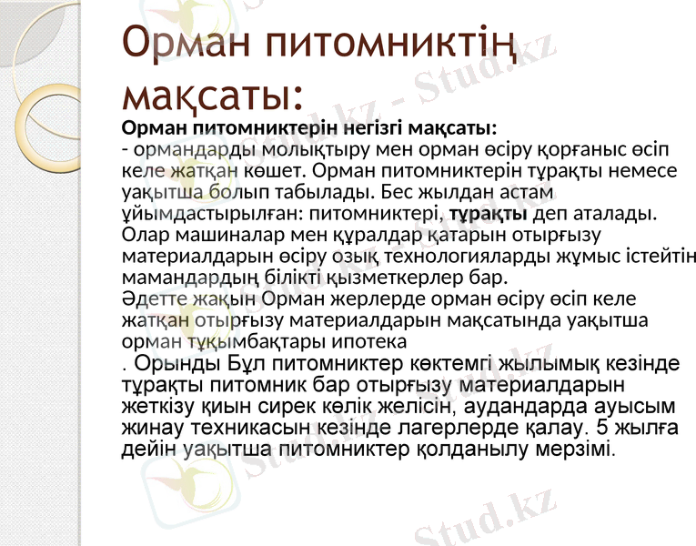 Slide 6