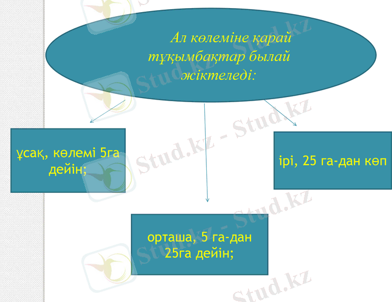 Slide 7