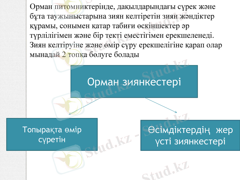 Slide 9