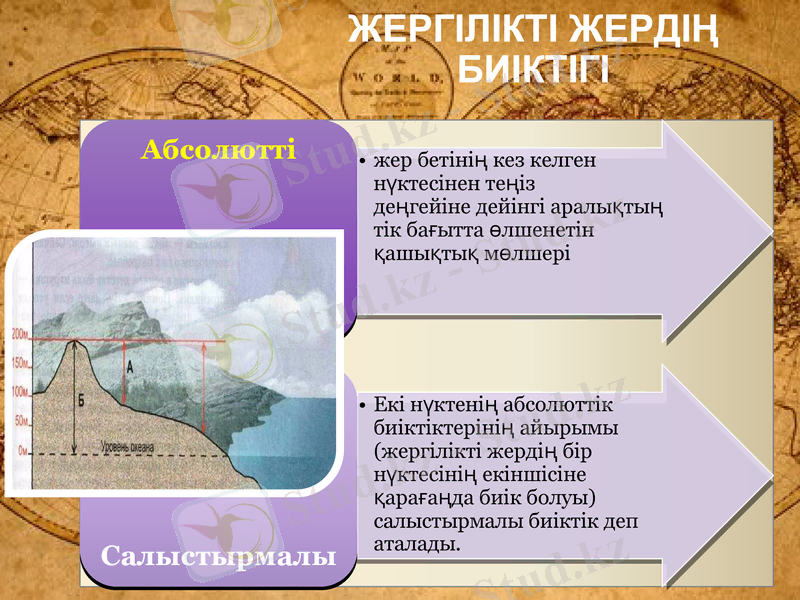 Slide 6