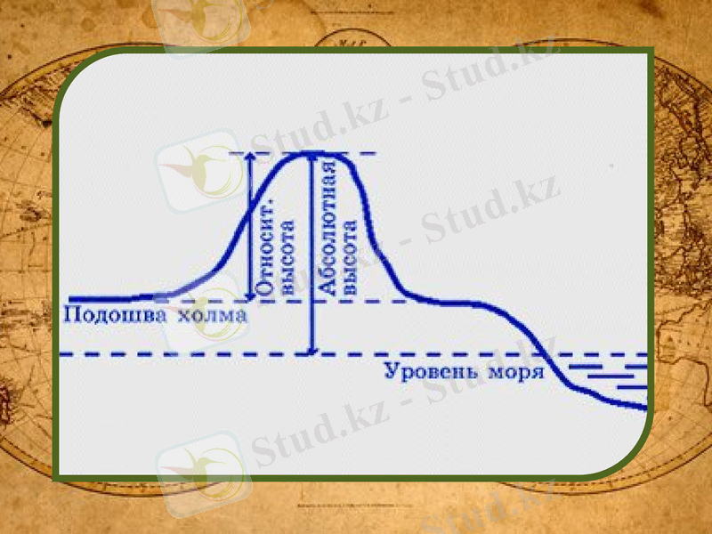 Slide 7