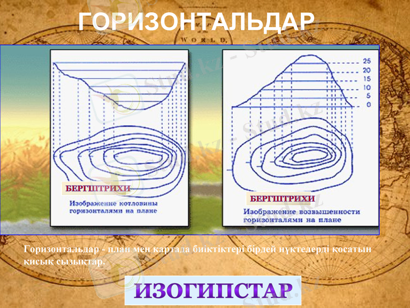 Slide 8