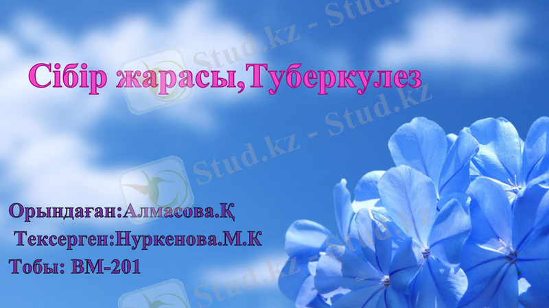 Slide 1