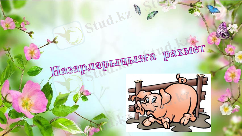 Slide 10