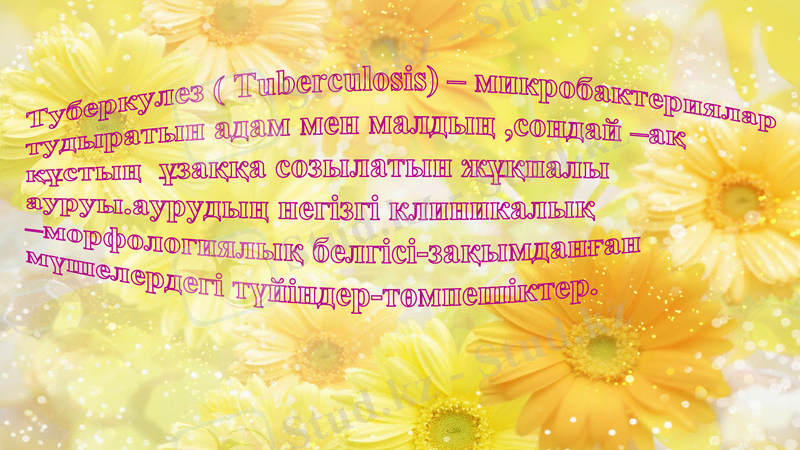Slide 6