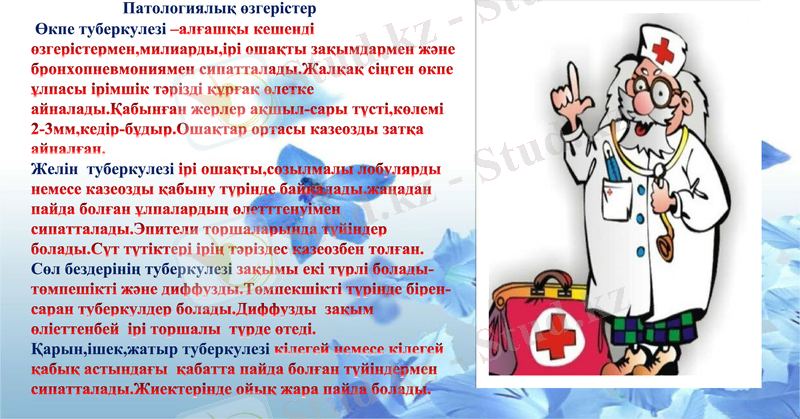 Slide 8