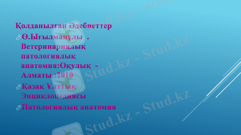 Slide 9