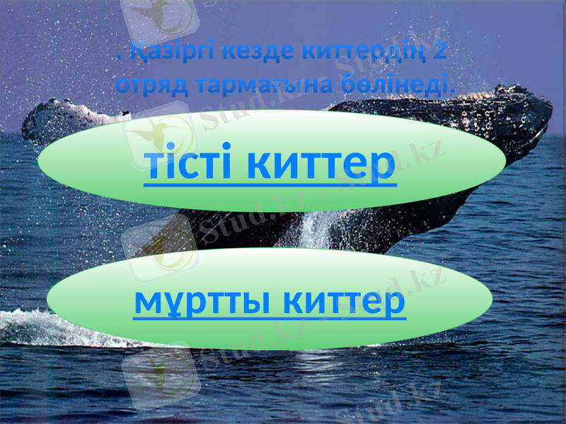 Slide 10