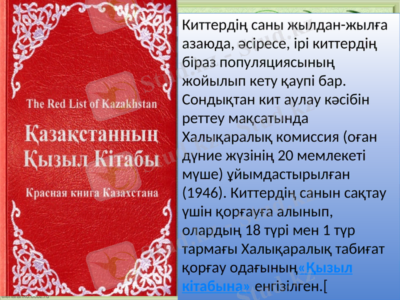 Slide 11
