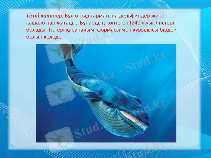 Slide 12
