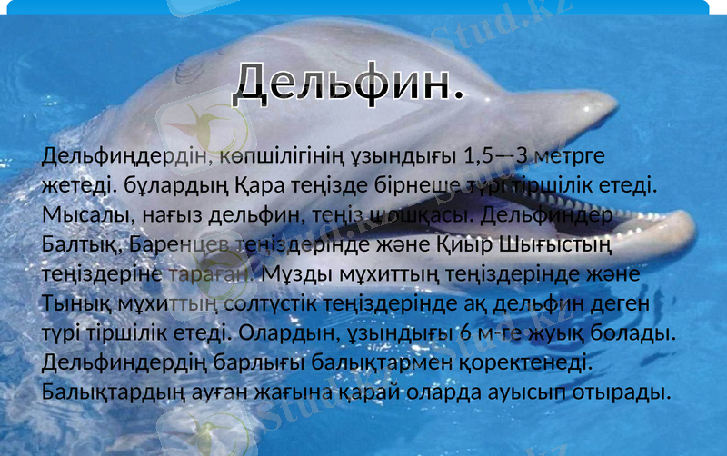 Slide 13