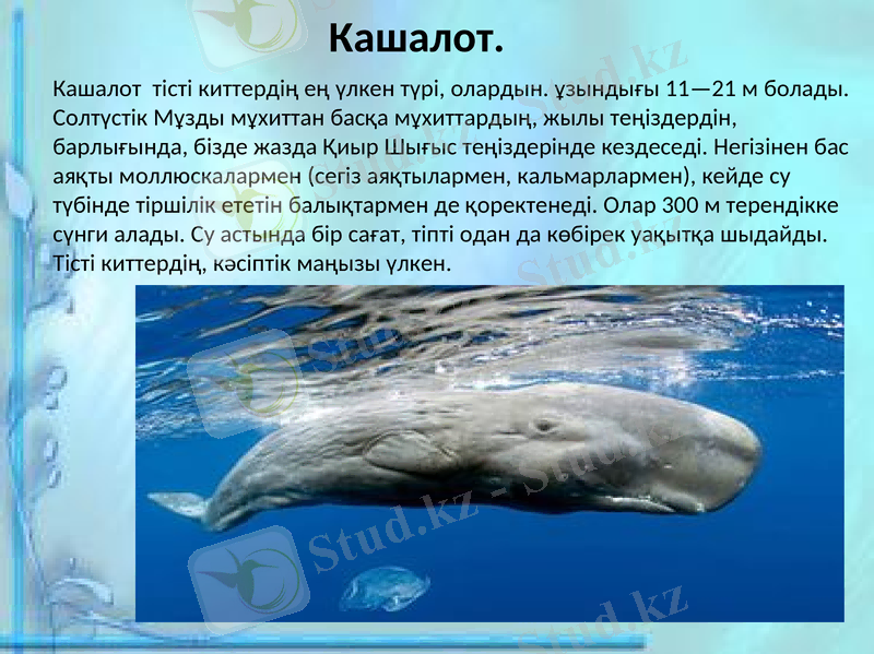 Slide 15