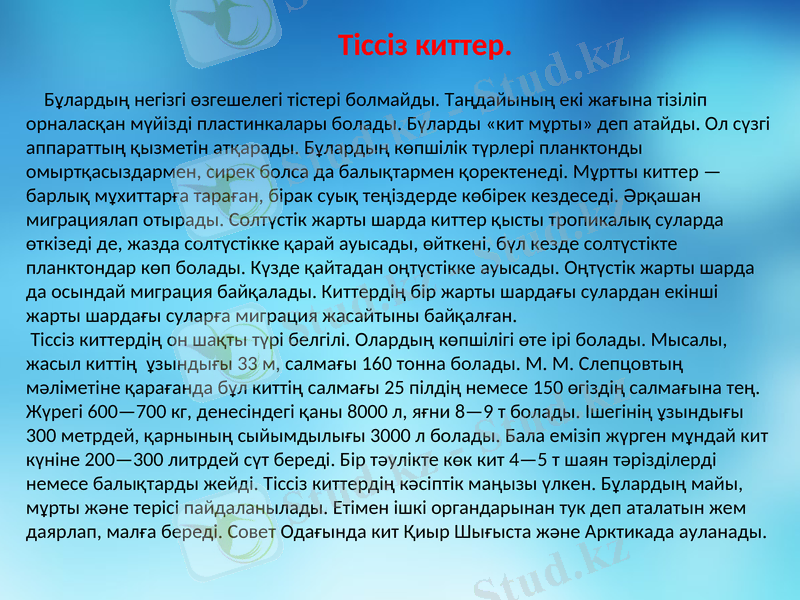 Slide 16