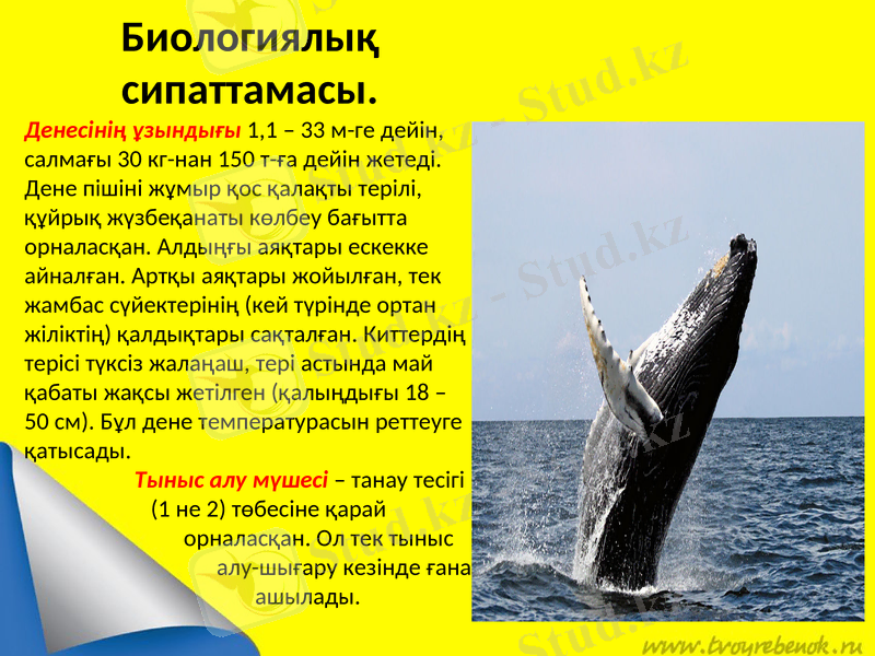 Slide 7