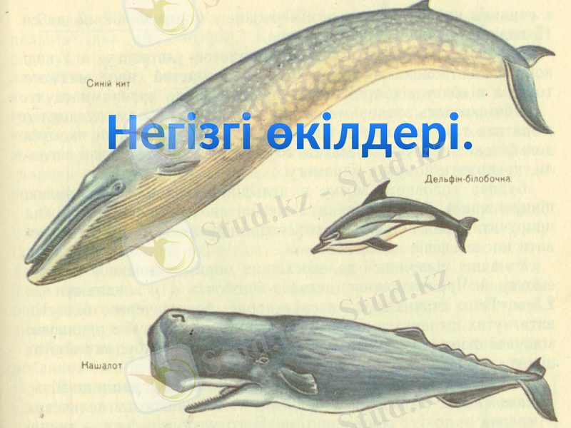 Slide 9