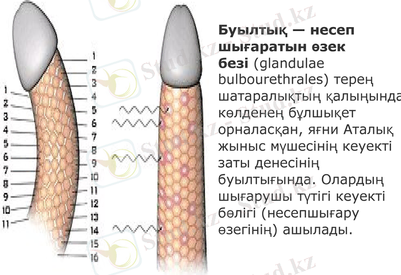 Slide 12