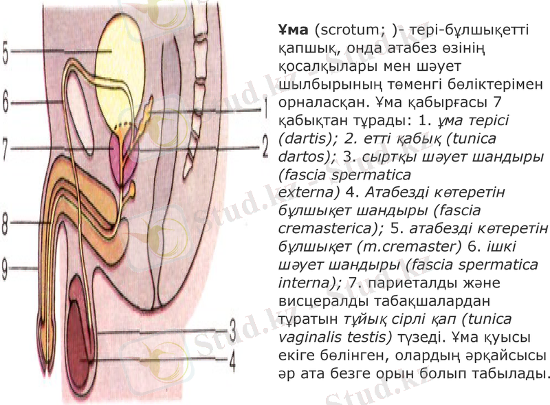 Slide 13
