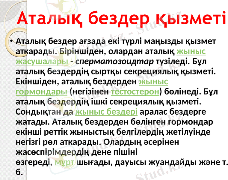 Slide 15