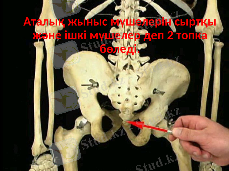 Slide 5