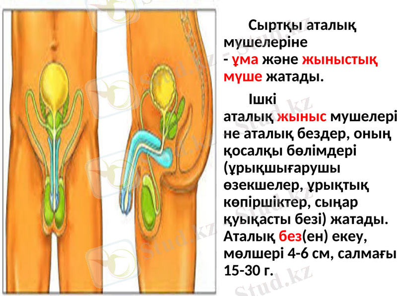 Slide 6