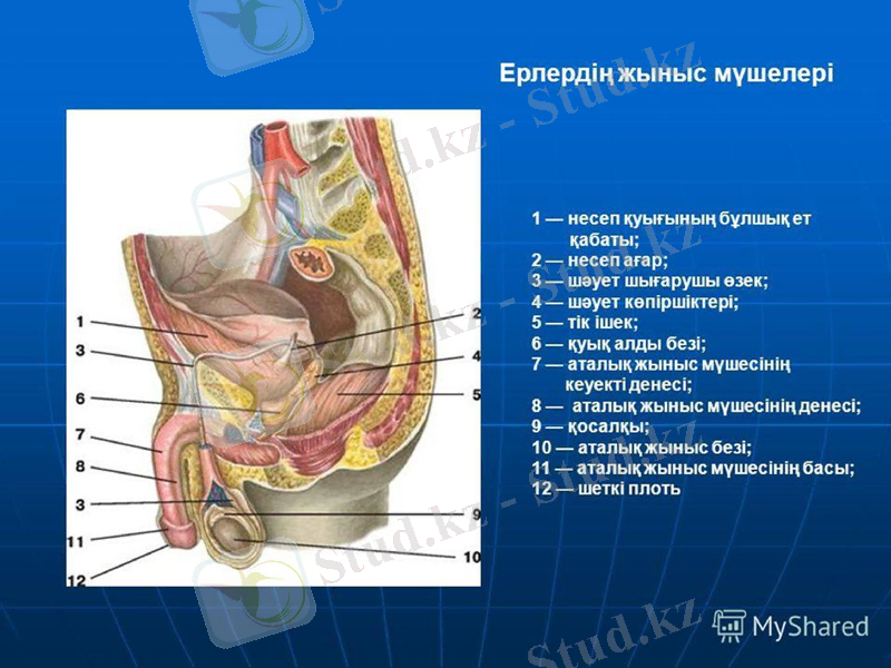 Slide 7