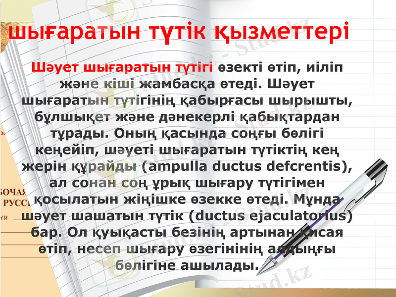 Slide 9