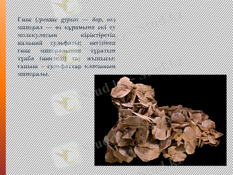 Slide 10