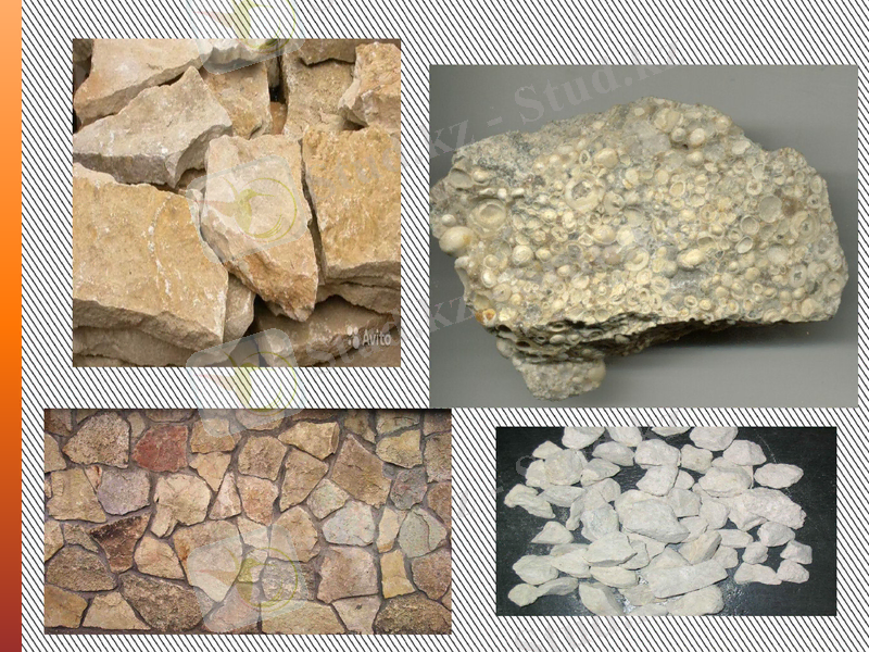 Slide 9