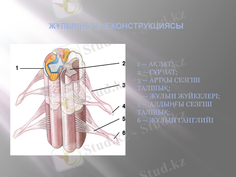 Slide 10