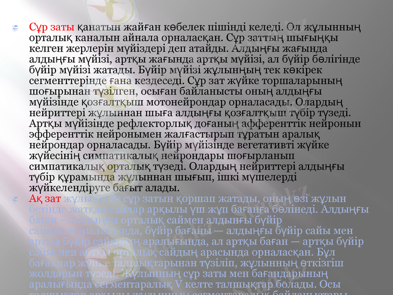 Slide 11