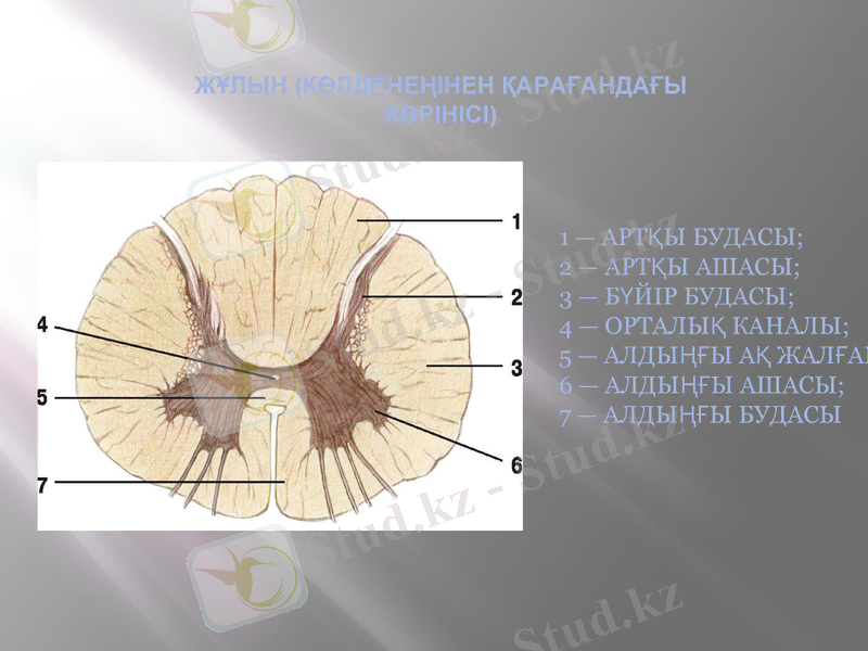 Slide 12