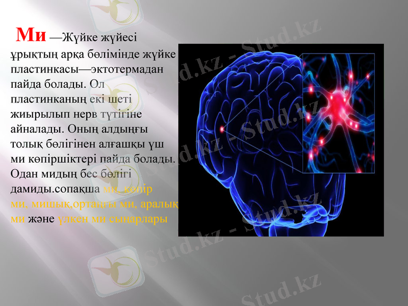 Slide 13