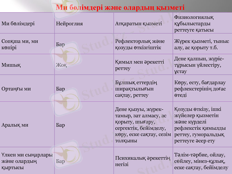 Slide 14