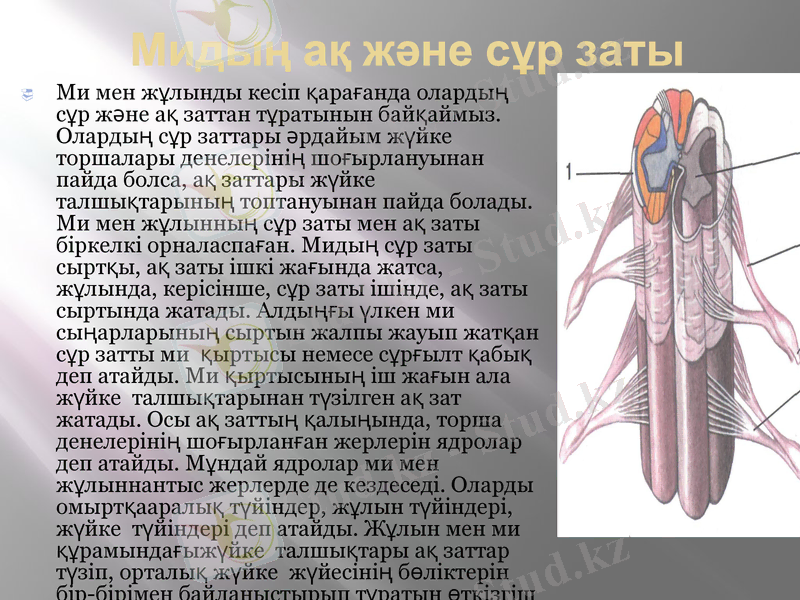 Slide 15