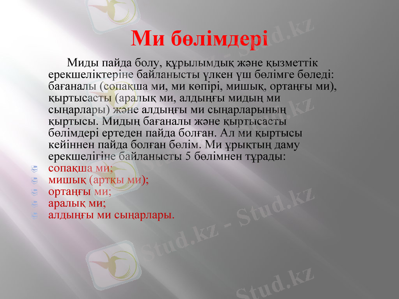 Slide 16