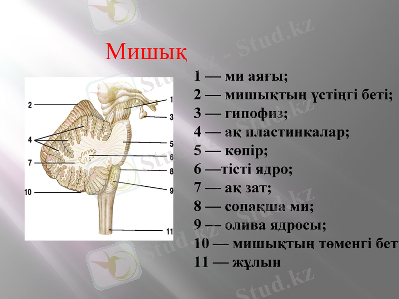 Slide 19