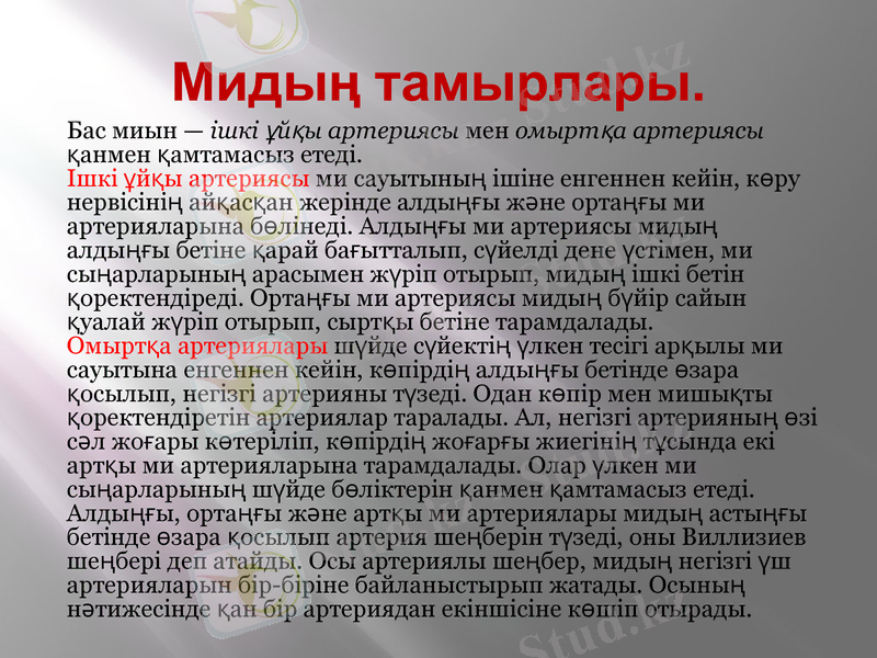 Slide 20
