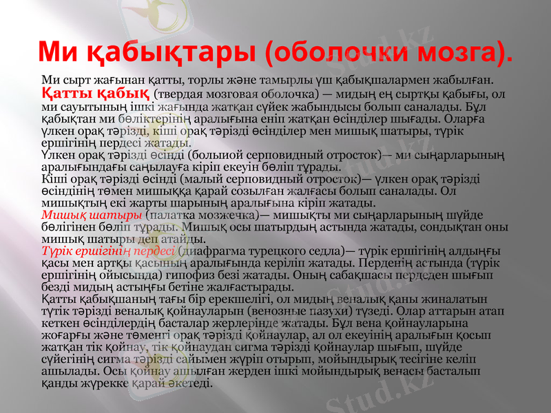 Slide 21