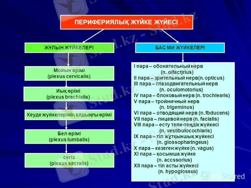 Slide 6
